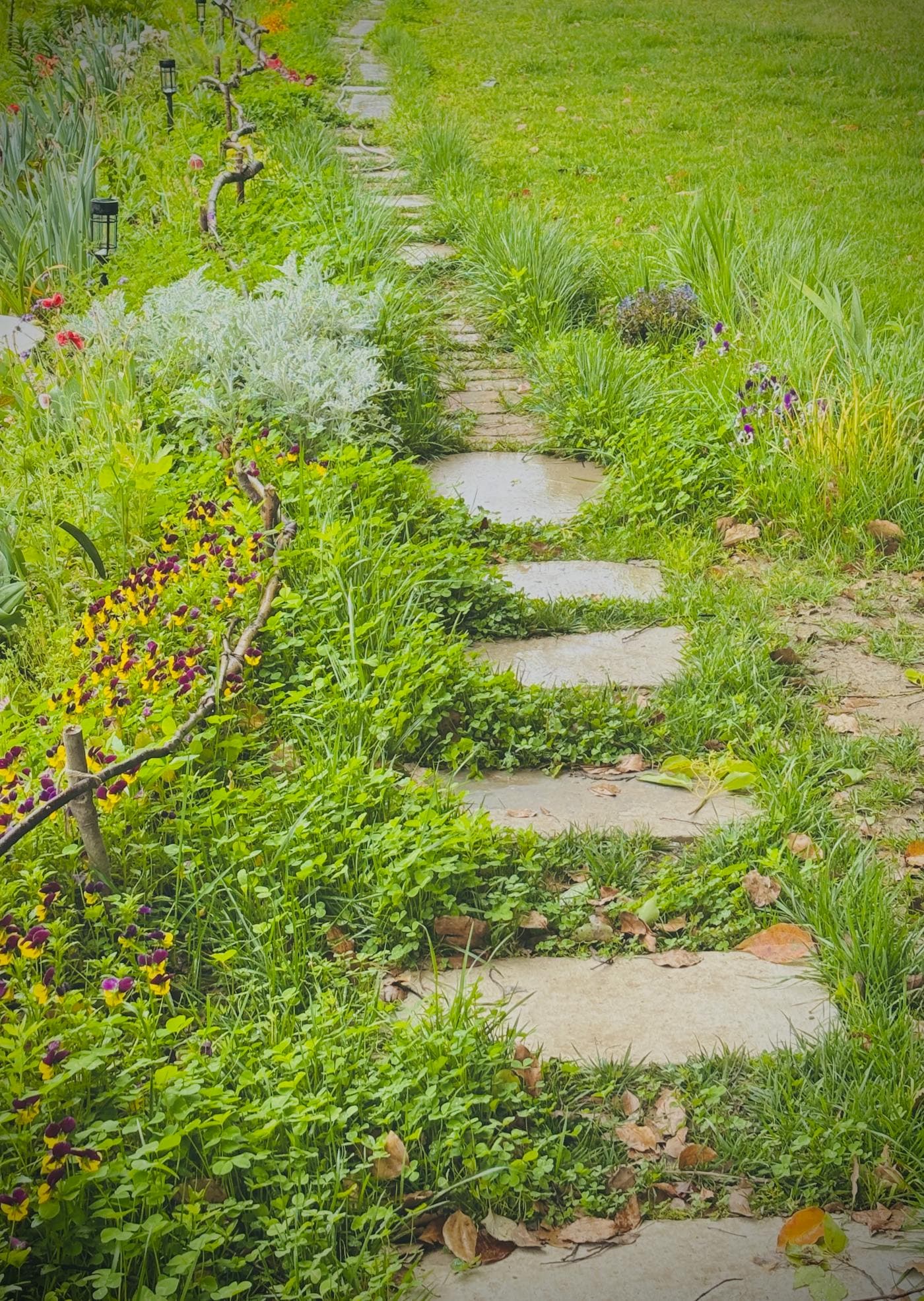 Chemin de pierre plate sinueux
