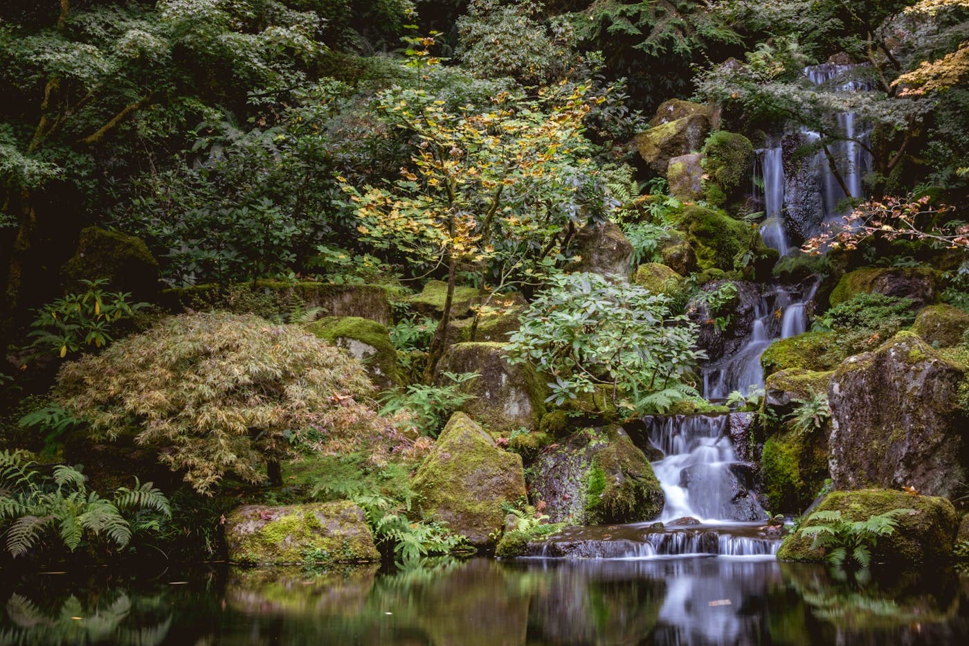 Cascade en pierre naturelle dans un jardin