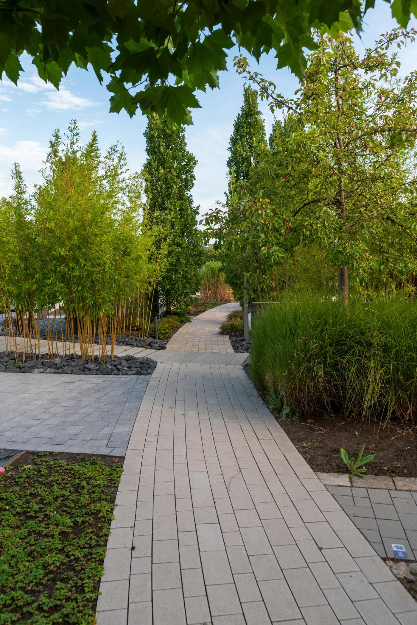 Jardin paysager avec plantations vivaces