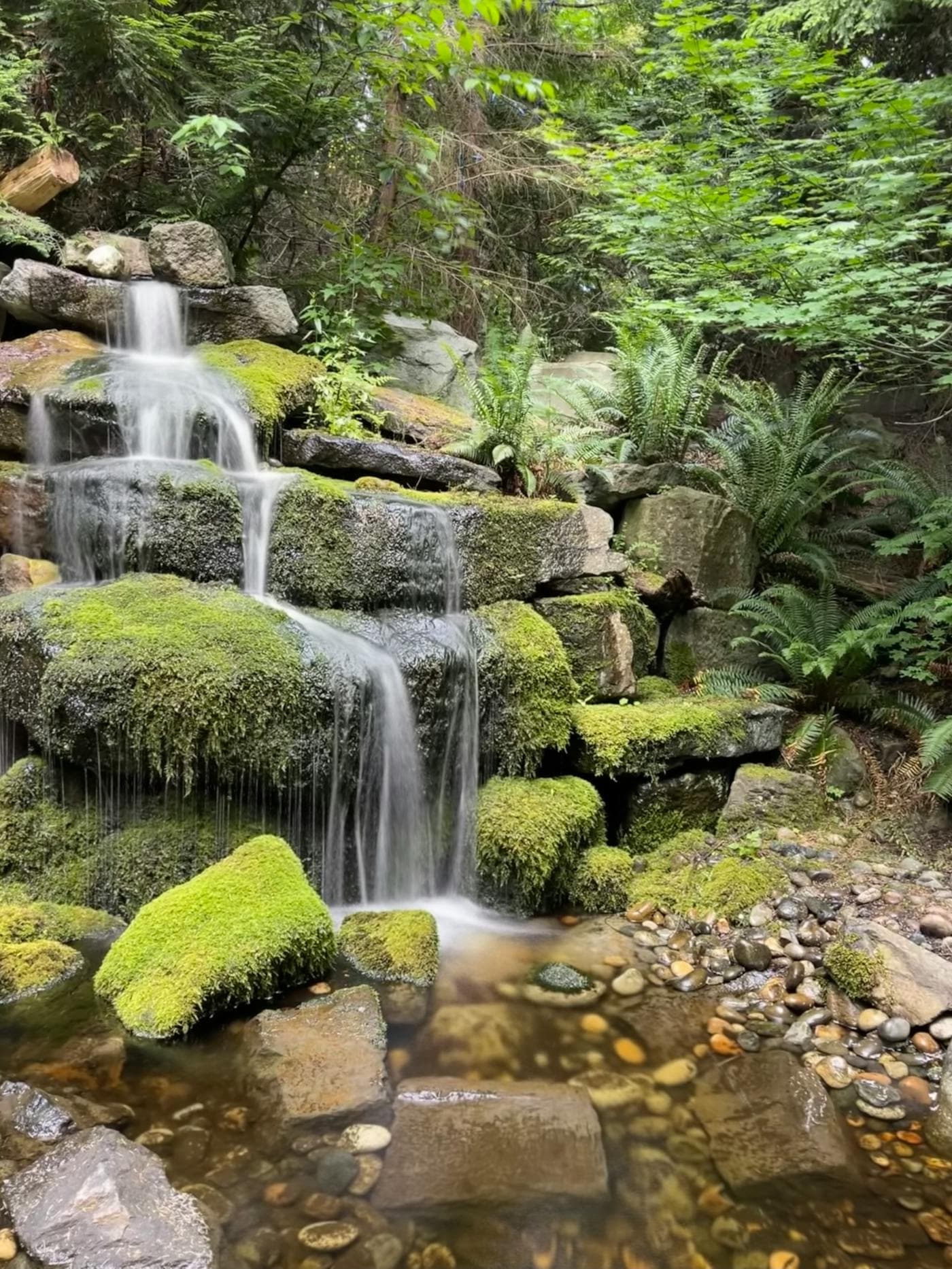 Bassin d'eau avec cascade naturelle